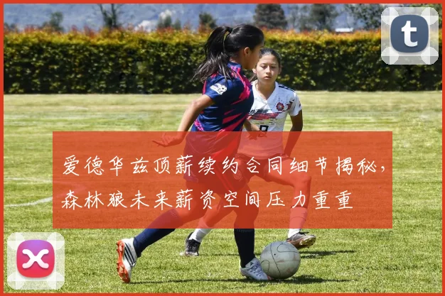 爱德华兹顶薪续约合同细节揭秘，森林狼未来薪资空间压力重重
